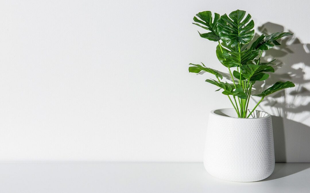 Tynk, gładź czy coś innego na ścianę?